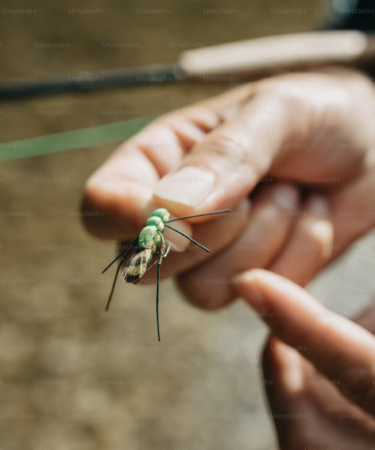 Why A Streamer Fly Box Is Essential For Successful Fly Fishing 