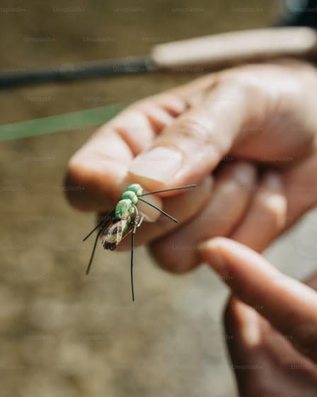 Why A Streamer Fly Box Is Essential For Successful Fly Fishing 