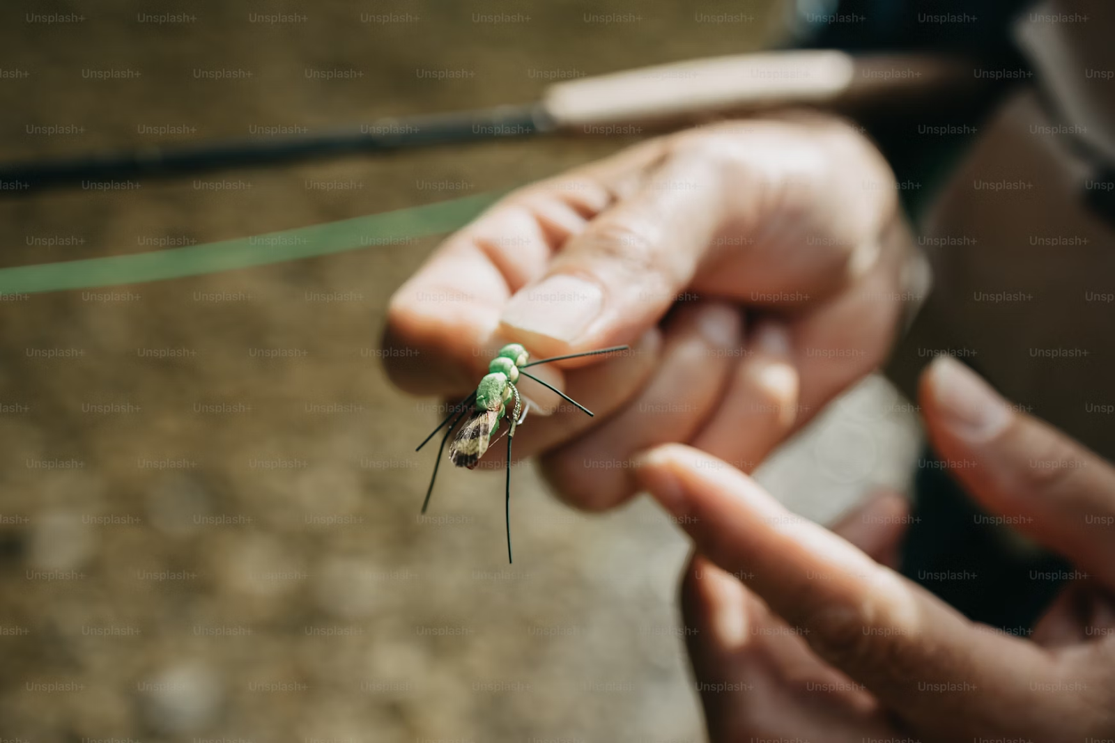 Why A Streamer Fly Box Is Essential For Successful Fly Fishing 