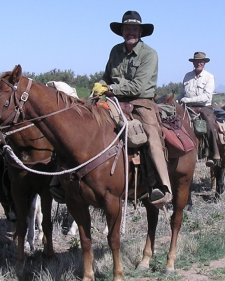 Comfortable Trail Riding Saddles