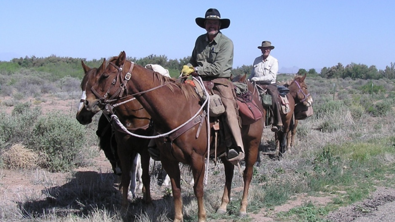 Comfortable Trail Riding Saddles