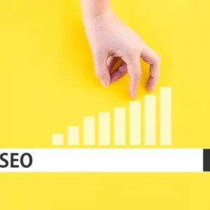 Organic Traffic Growth