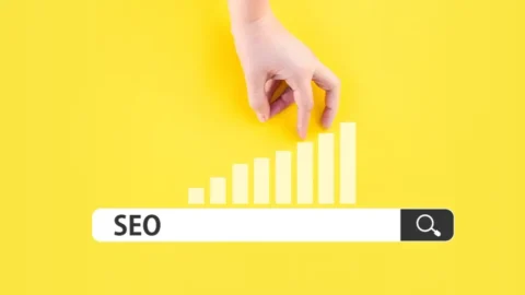 Organic Traffic Growth