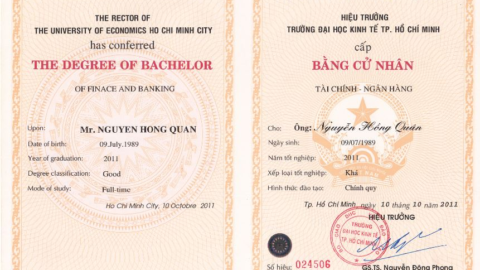 University Degree
